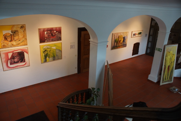 laupheim_2014.jpg