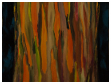../image/thumbs/2016-005.jpg